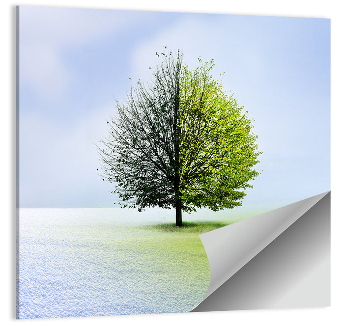 Winter to Spring Tree Wall Art as a poster print