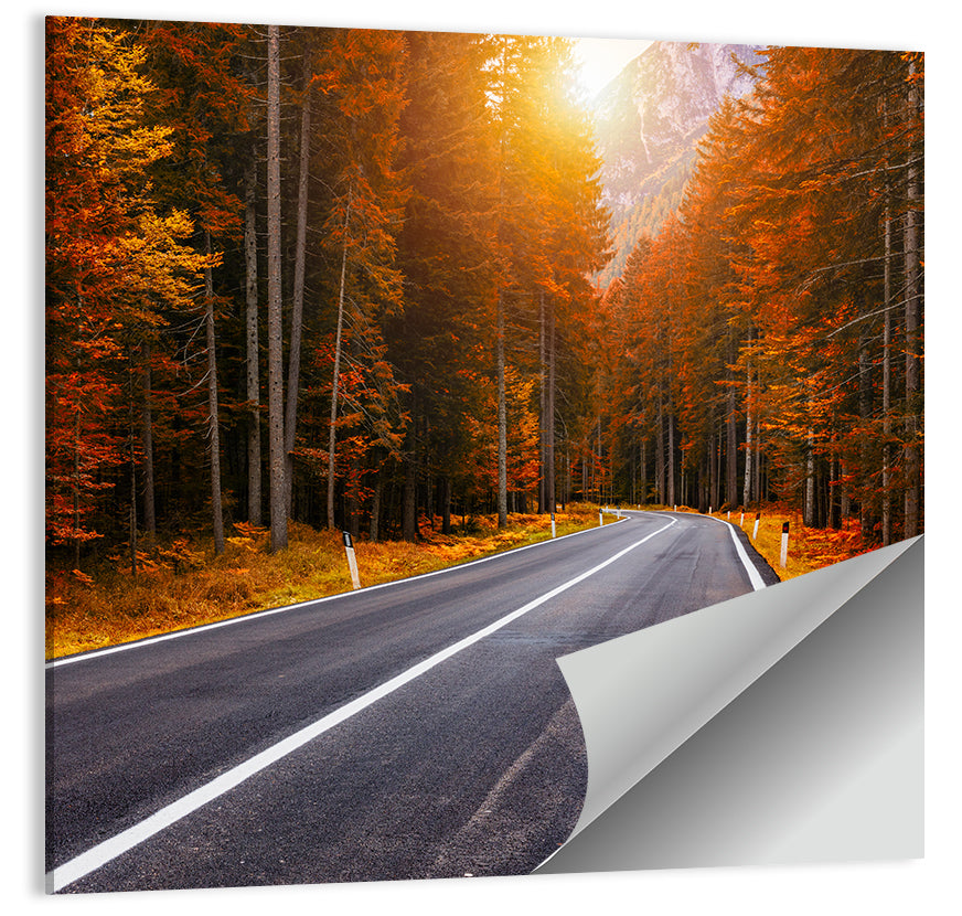 Golden Hour Forest Road Wall Art