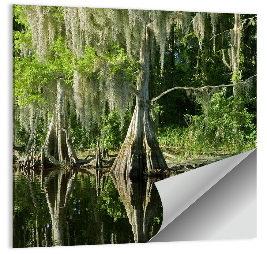 Bald Cypress and Great Blue Heron Wall Art