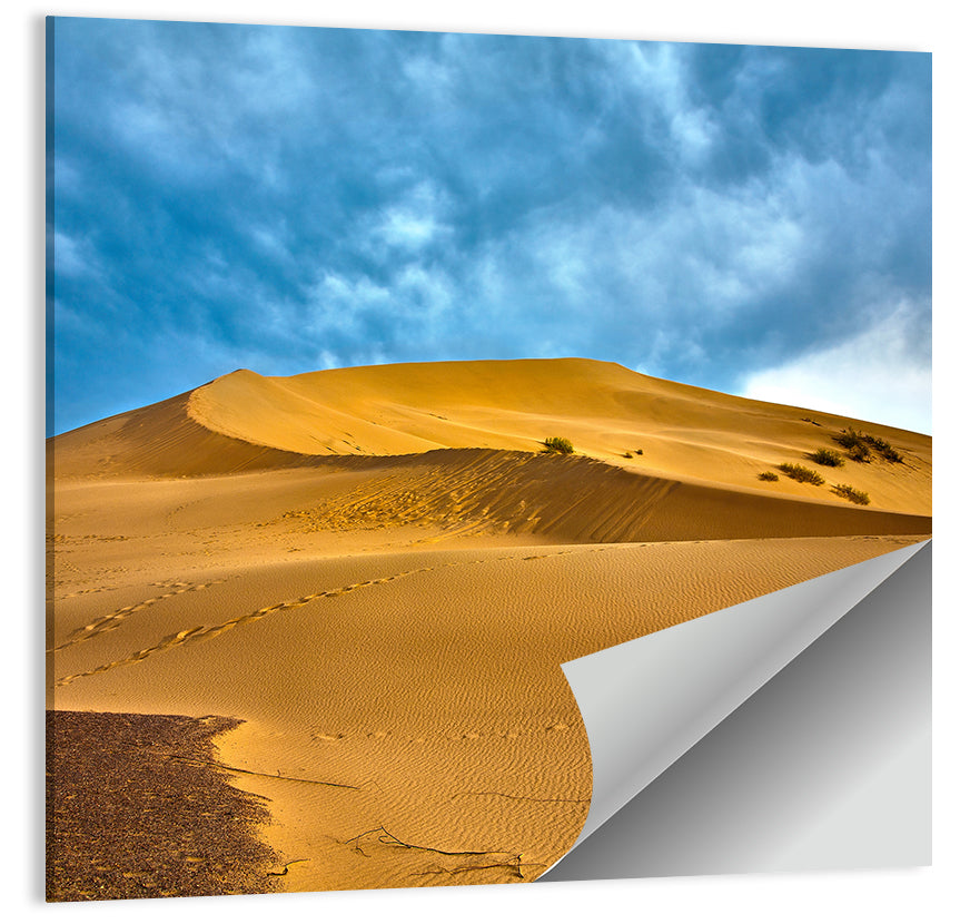 Altyn Emel Sand Dunes Wall Art
