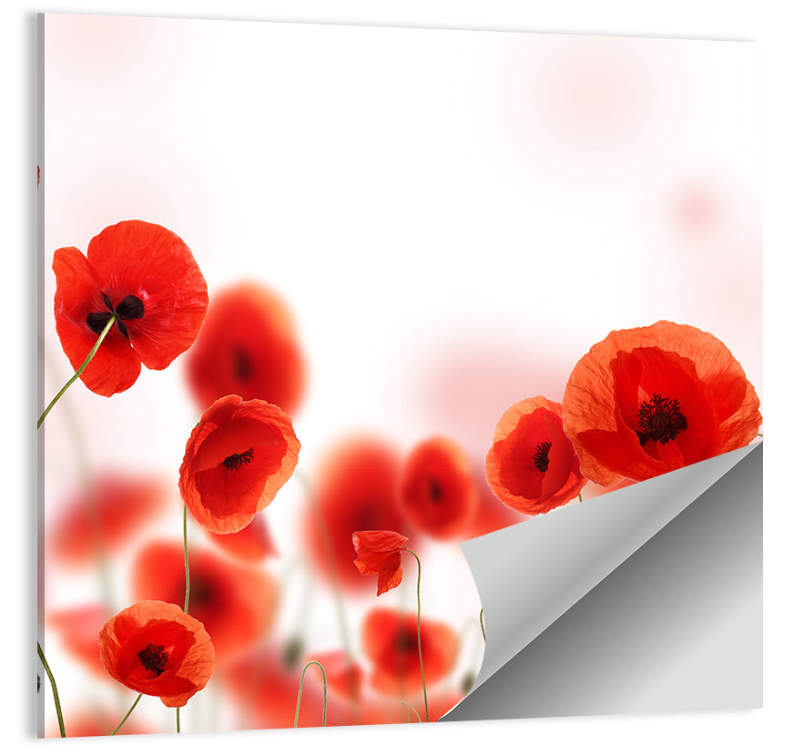 Red Poppy Field Wall Art, poster print, square