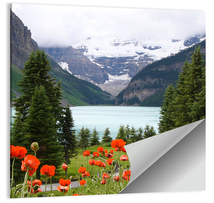 Lake Louise Poppies Wall Art