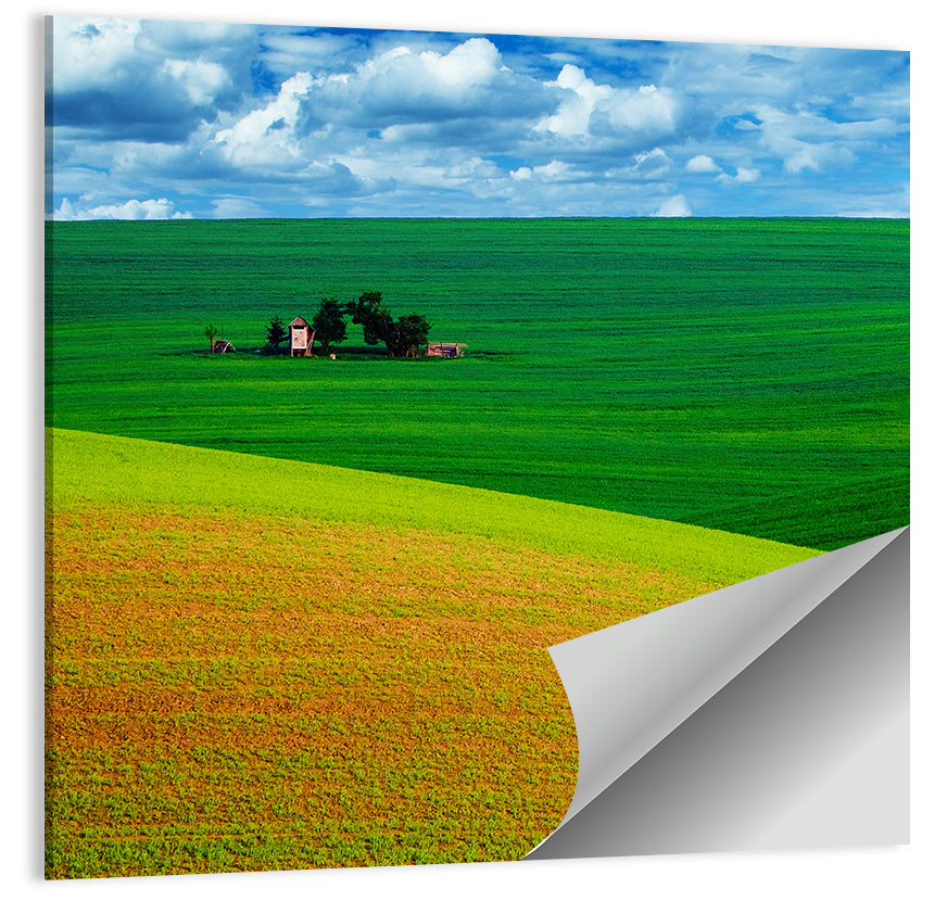 Golden Field and Green Hillside Wall Art