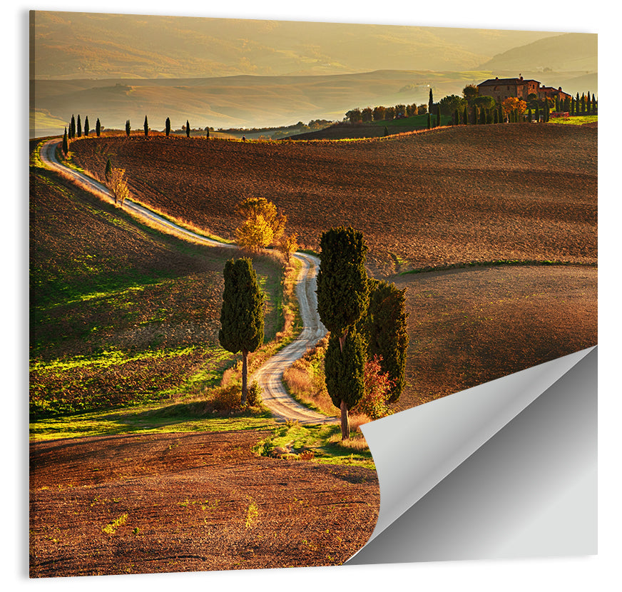 Val D’orcia Winding Golden Road Wall Art
