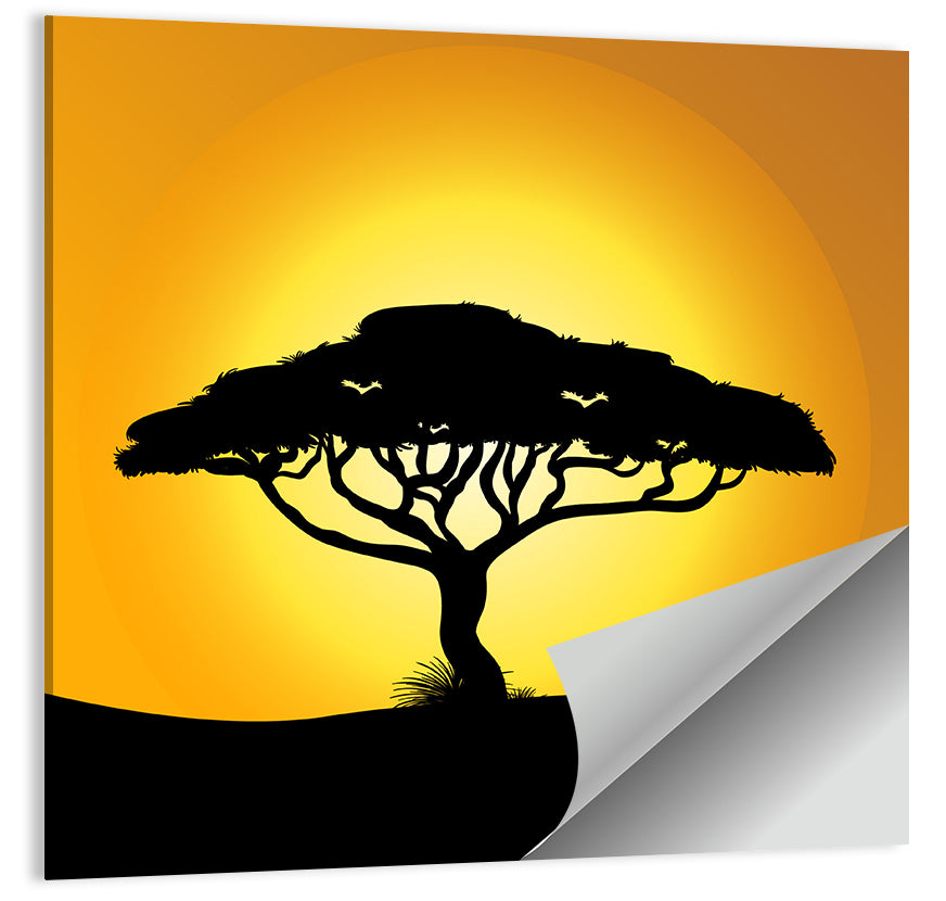 Acacia at Sunset Wall Art