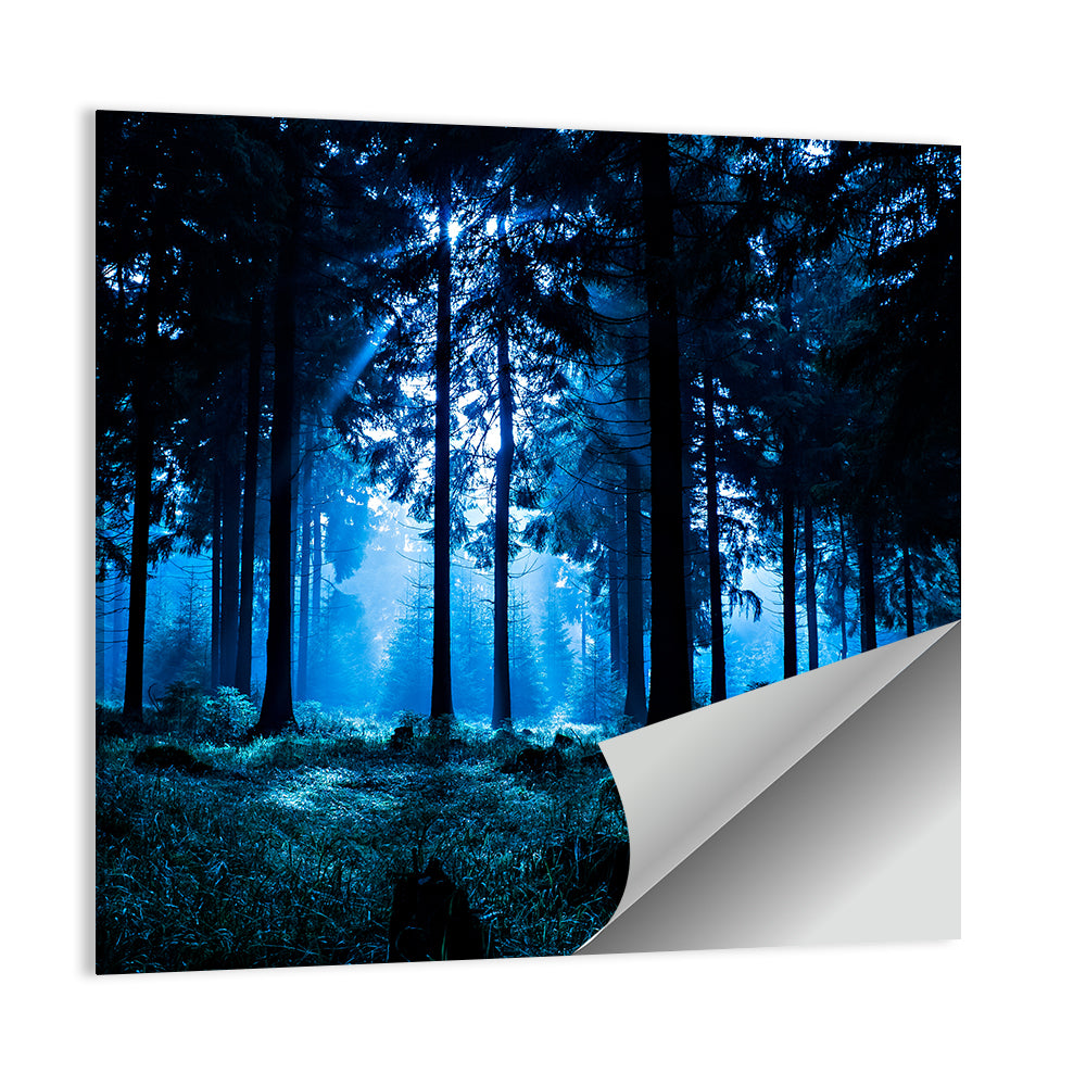 Thuringia Forest at Dusk Wall Art