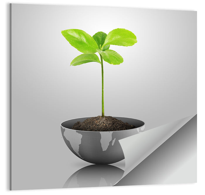 Young Plant on Globe Wall Art as a poster print