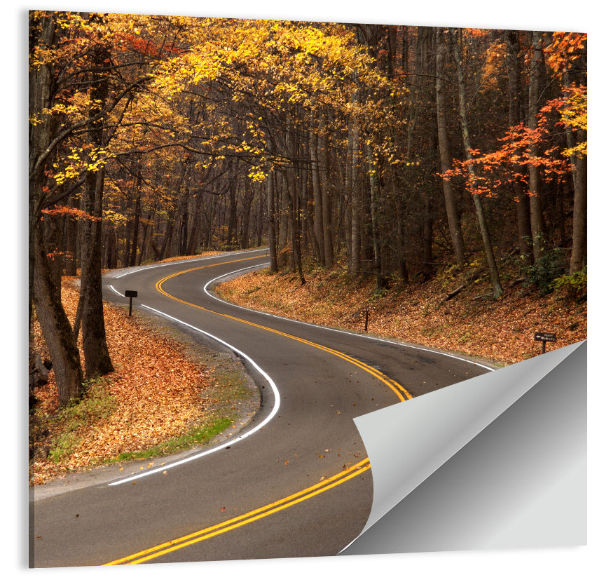 S-curve Road Through Autumn Forest Wall Art