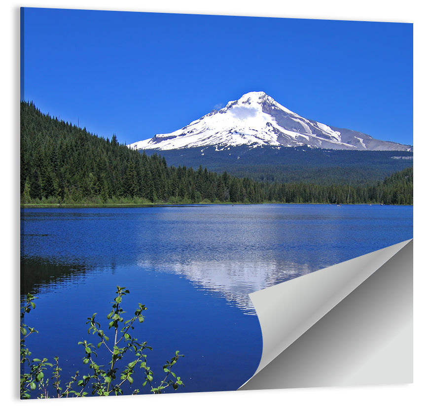 Mount Hood at Trillium Lake Wall Art