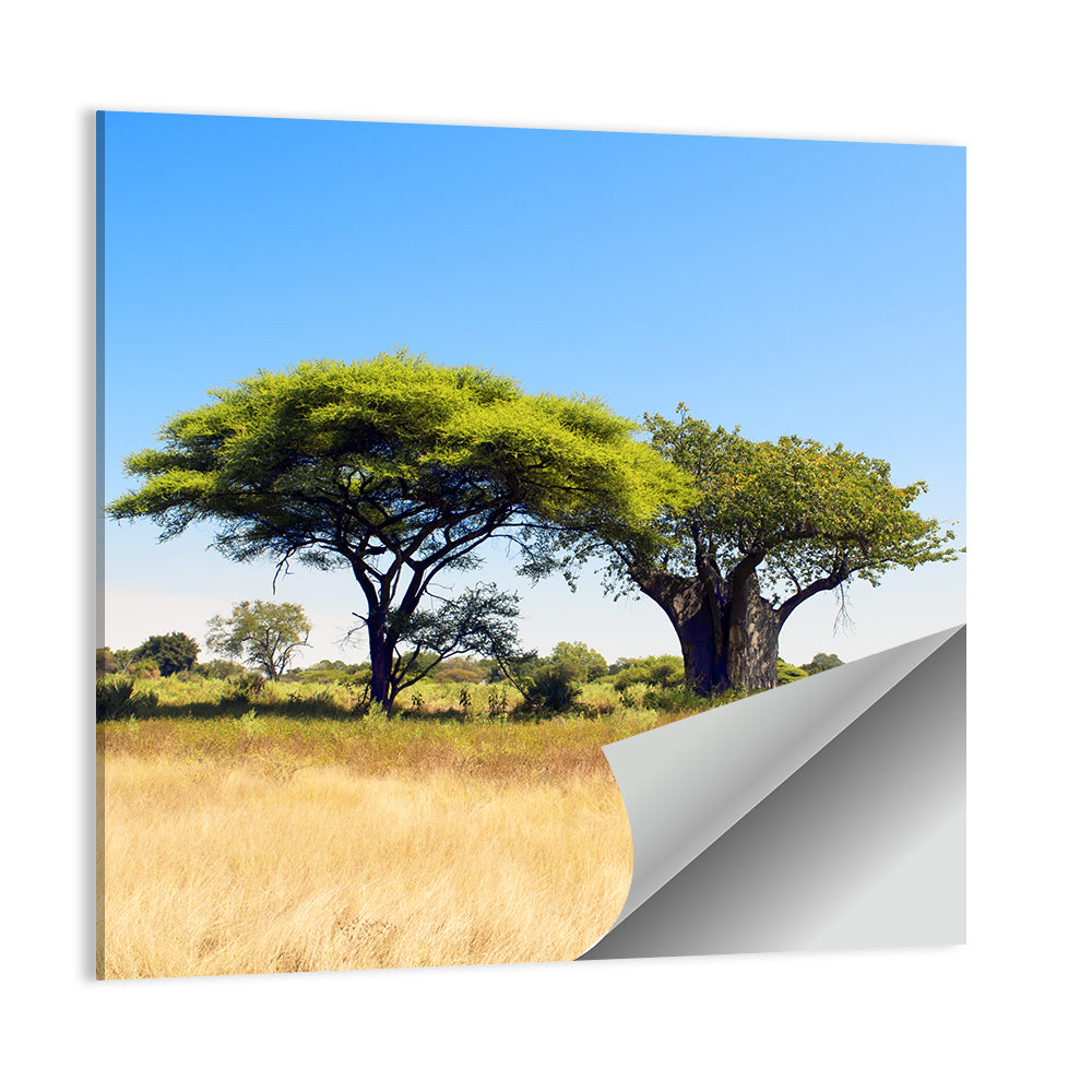 Acacia and Baobab Trees Wall Art