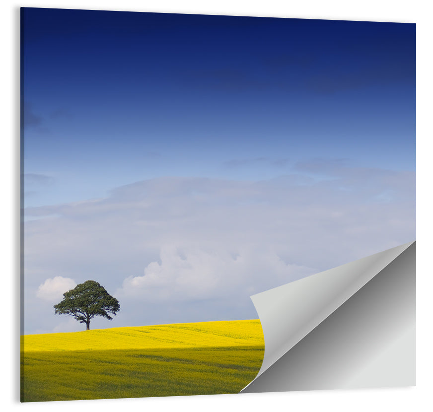 Solitary Tree Over Rapeseed Field Wall Art