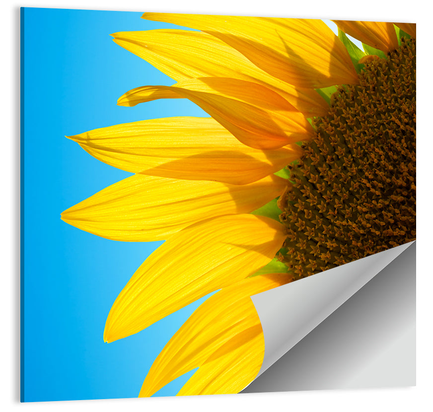 Sunflower Close-up Wall Art