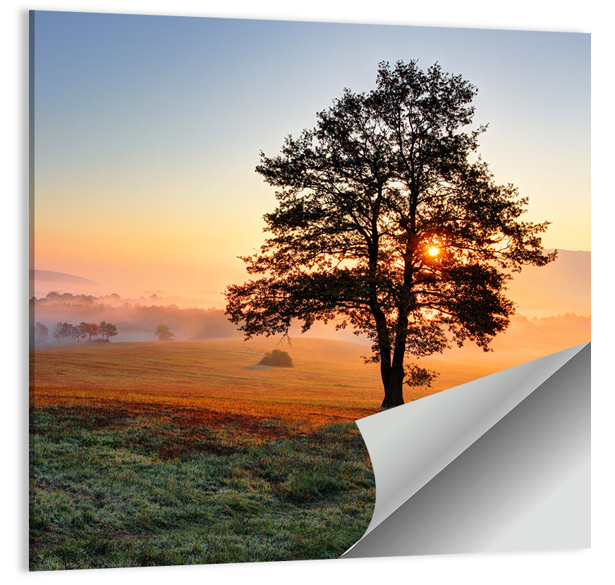 Misty Meadow Sunrise with Lone Tree Wall Art