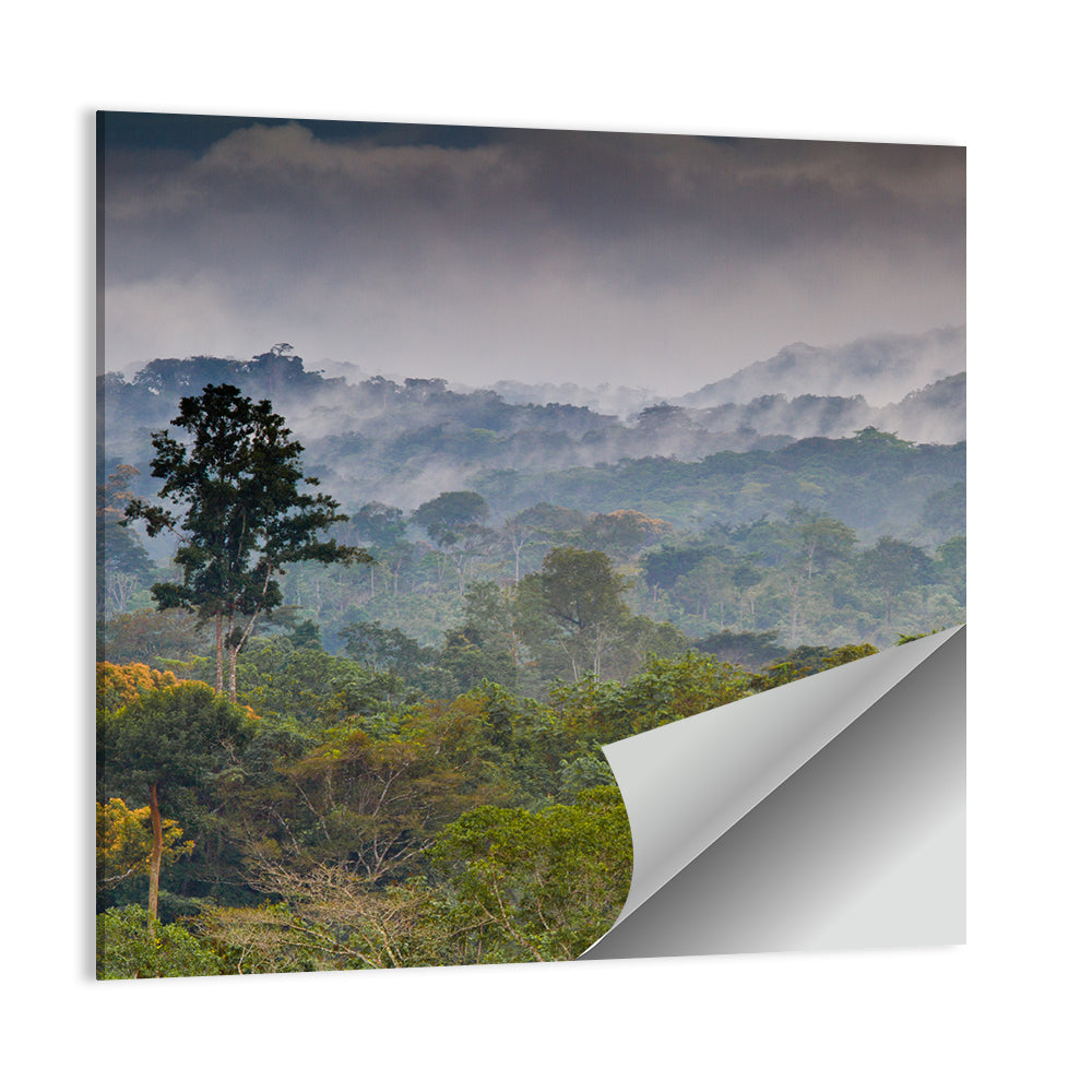 Guinea Rainforest Landscape Wall Art
