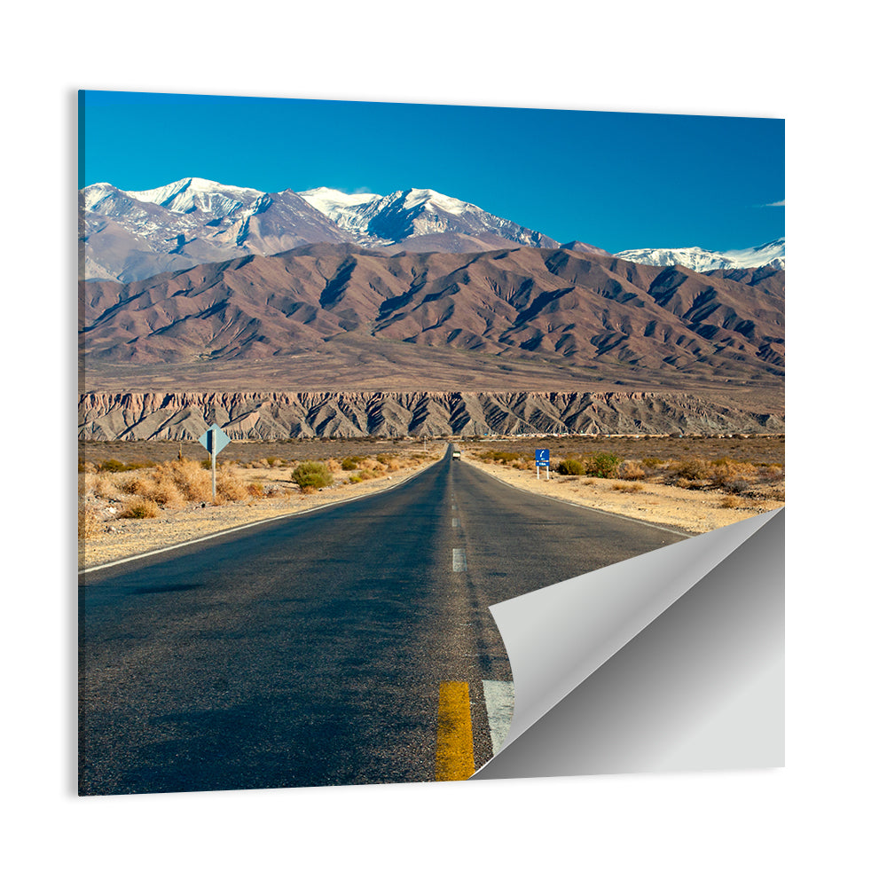 Northern Argentina Desert Road Wall Art