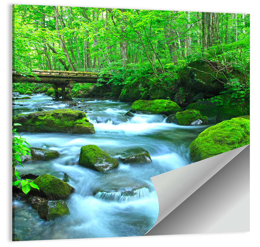 Mossy Forest Stream Wall Art