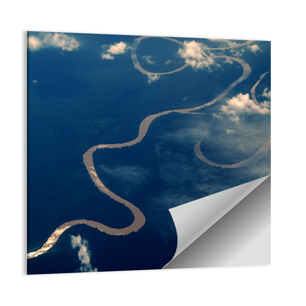 Sunlit Meander of the Amazon River Wall Art