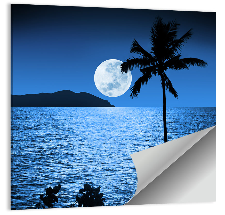 Moonlit Tropical Shore Silhouette Wall Art
