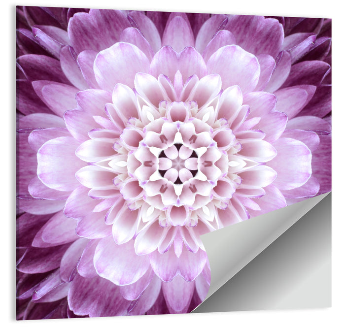 Kaleidoscopic Dahlia Mandala Wall Art as a poster print
