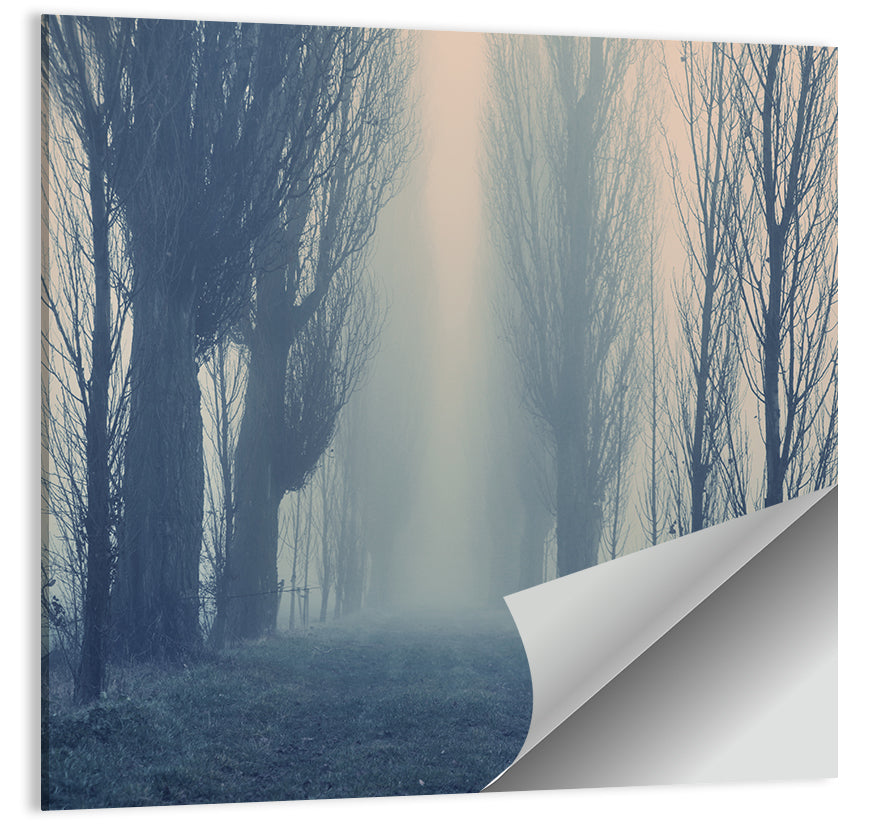 Misty Forest Pathway in Fog Wall Art
