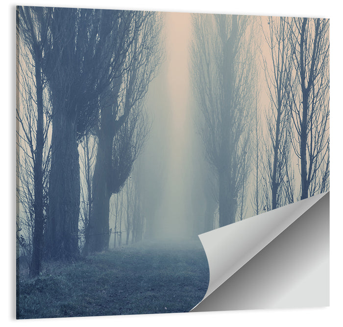 Misty Forest Pathway in Fog Wall Art as a poster print