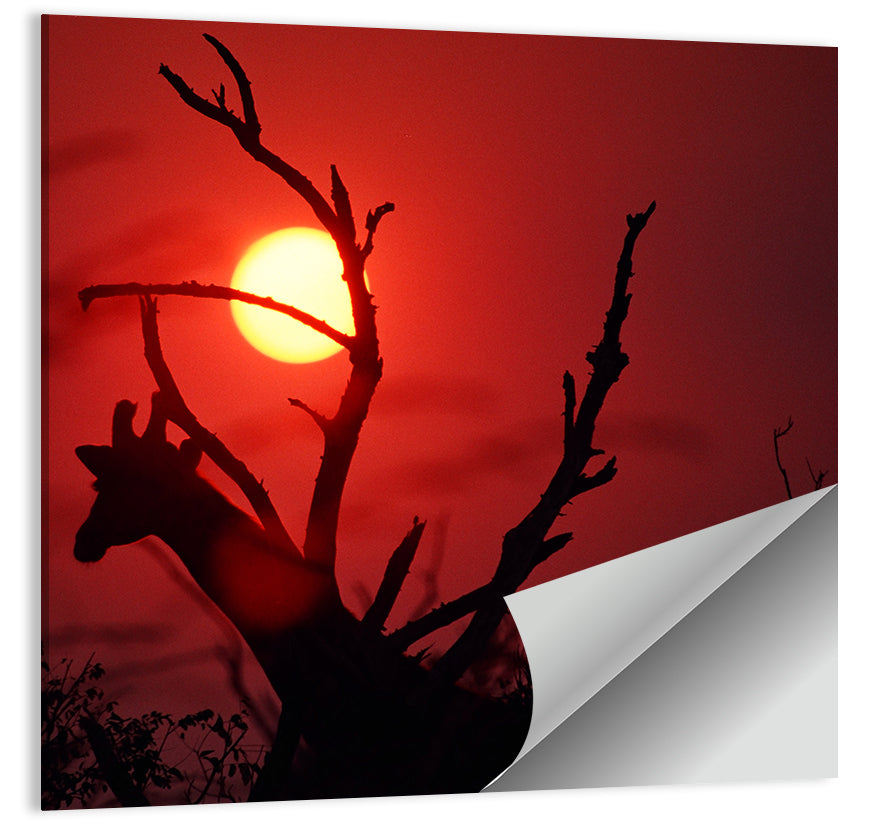 Giraffe Silhouette at Sunset Wall Art