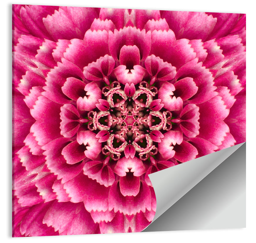 Kaleidoscopic Pink Chrysanthemum Mandala Wall Art