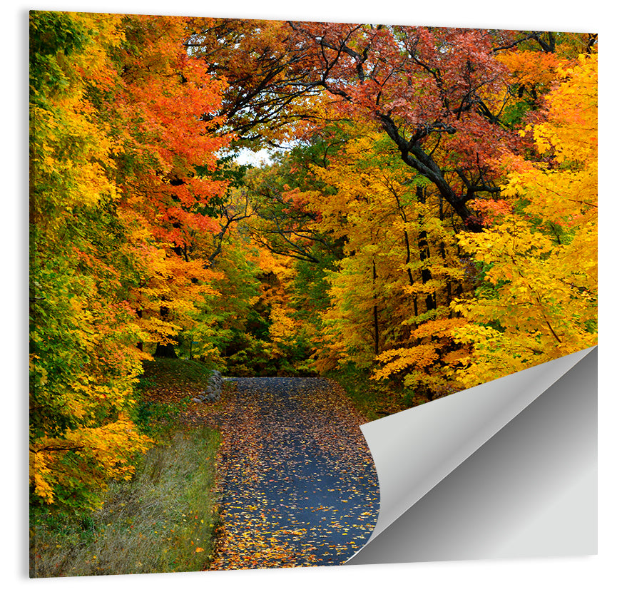 Autumn Road Through Wisconsin Park Wall Art