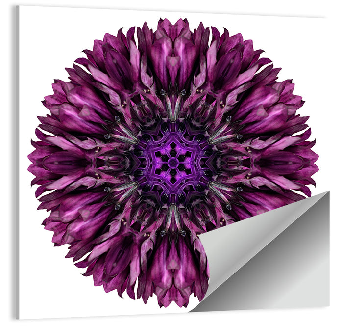 Purple Cornflower Kaleidoscope Mandala Wall Art as a poster print
