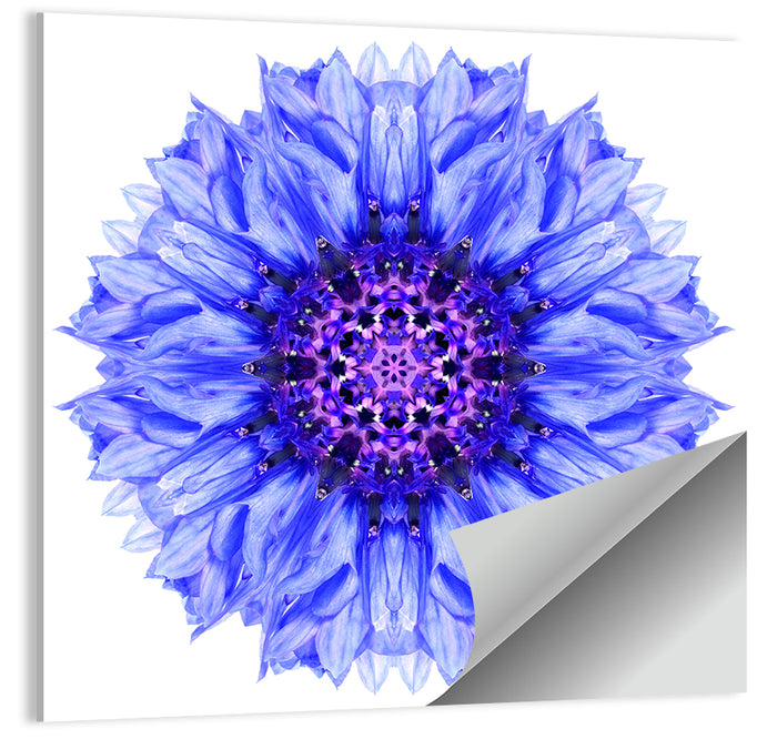 Cornflower Mandala with Dark Violet Center Wall Art as a poster print