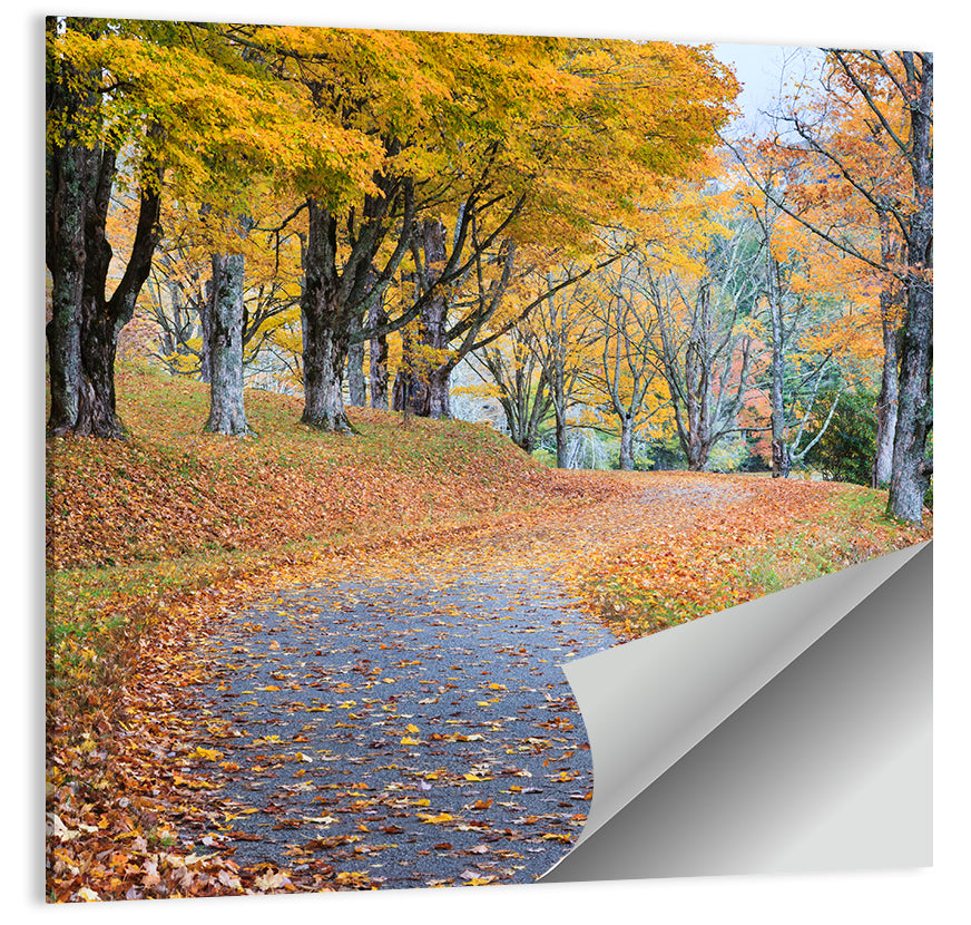 Autumn Road with Golden Canopy Wall Art