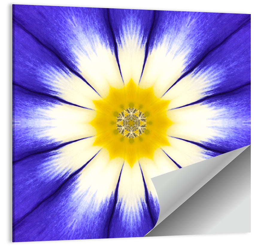 Blue Cornflower Mandala Bloom Wall Art