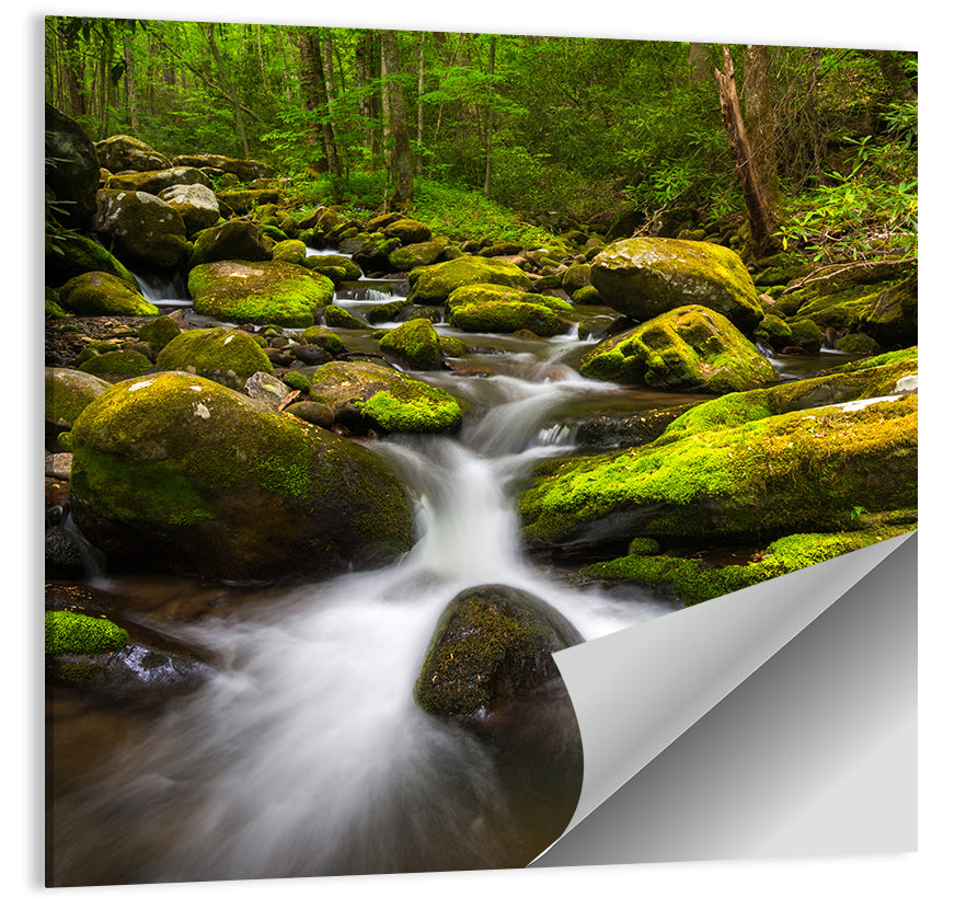 Green Forest Stream Wall Art