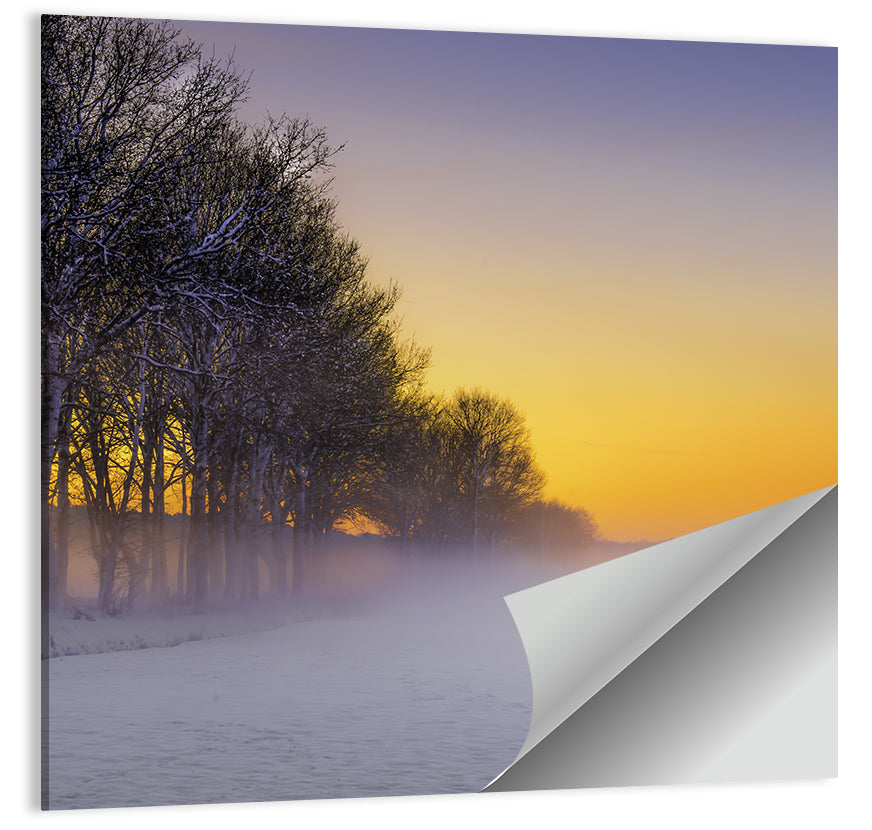 Winter Fog at Sunset Wall Art
