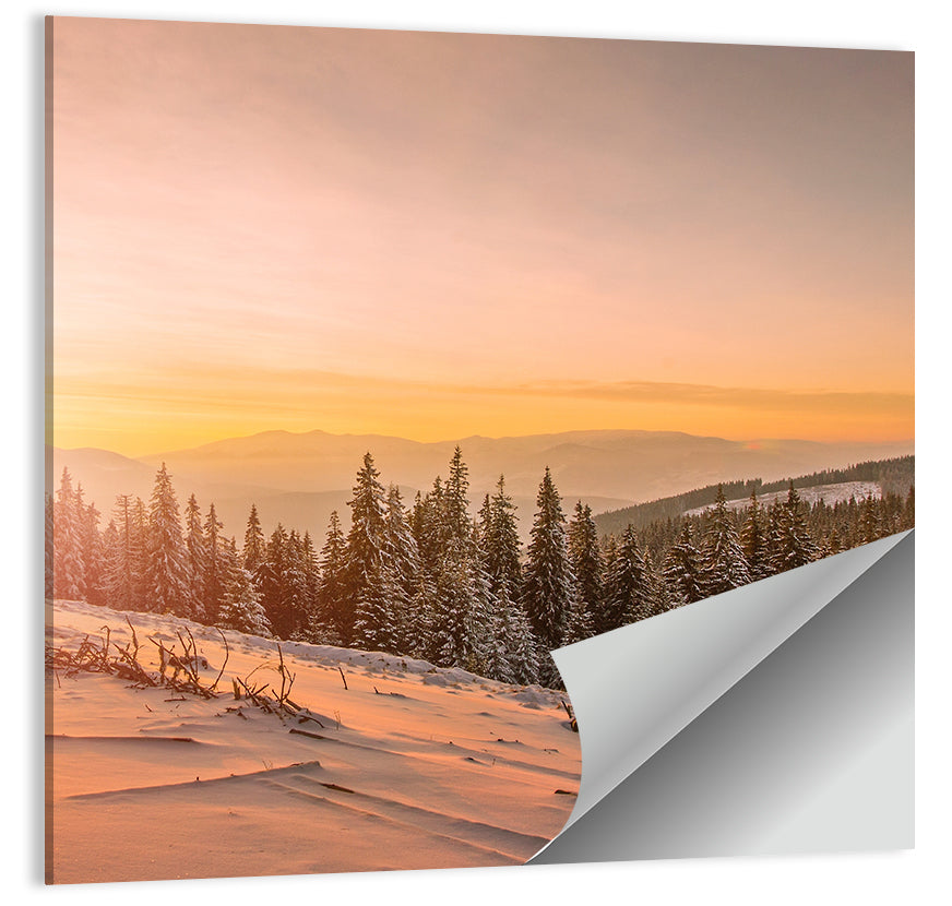 Snowy Hoverla Wall Art