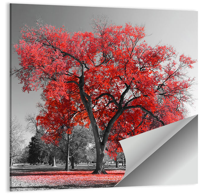 Winter Tree with Red Leaves Wall Art as a poster print