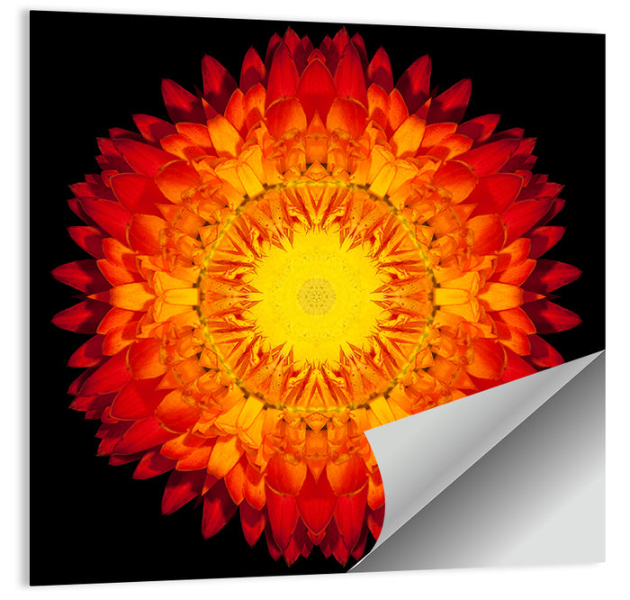 Radiant Red Kaleidoscopic Mandala Flower Wall Art as a poster print