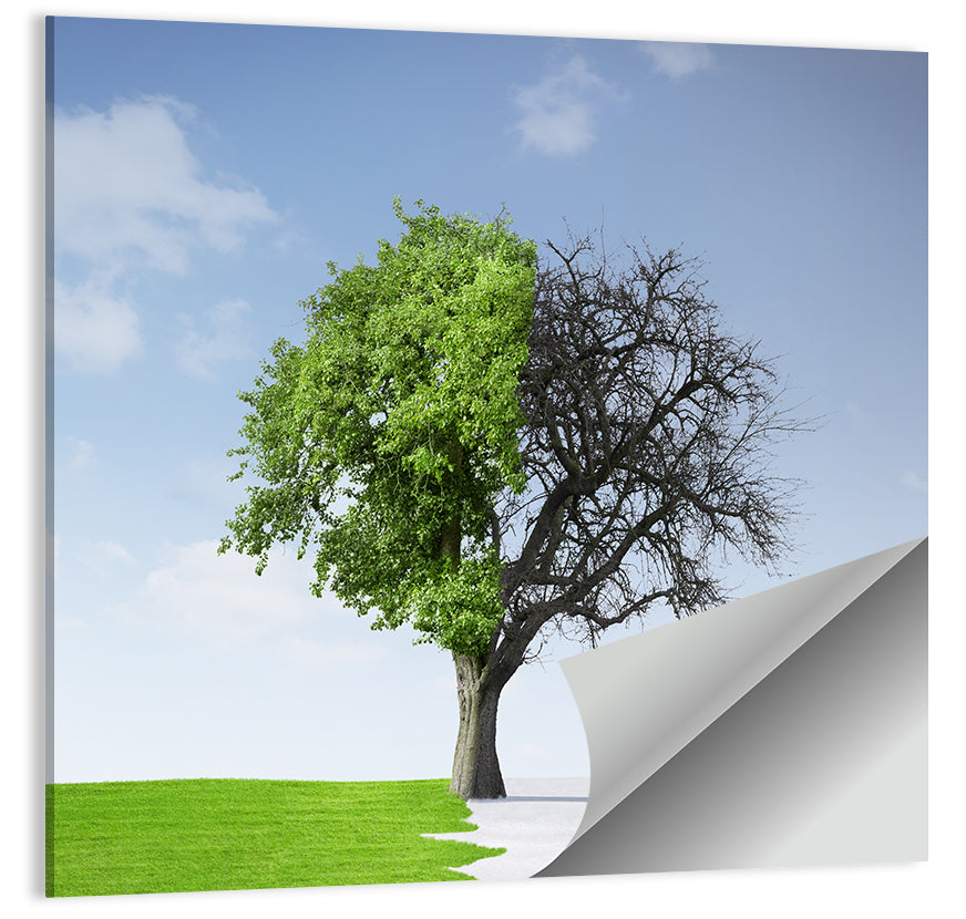 Split Seasons Tree Wall Art