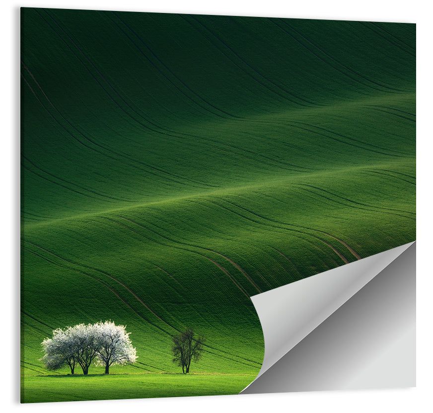Emerald Hills with Blossoming Tree Wall Art