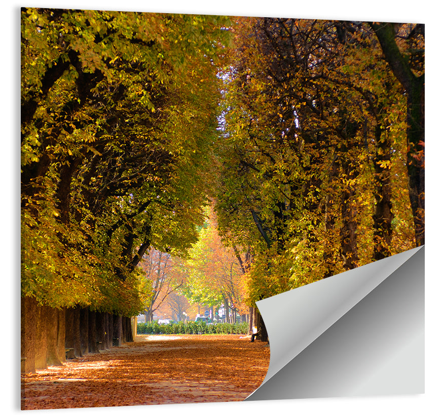 Golden Hour Autumn Path Wall Art