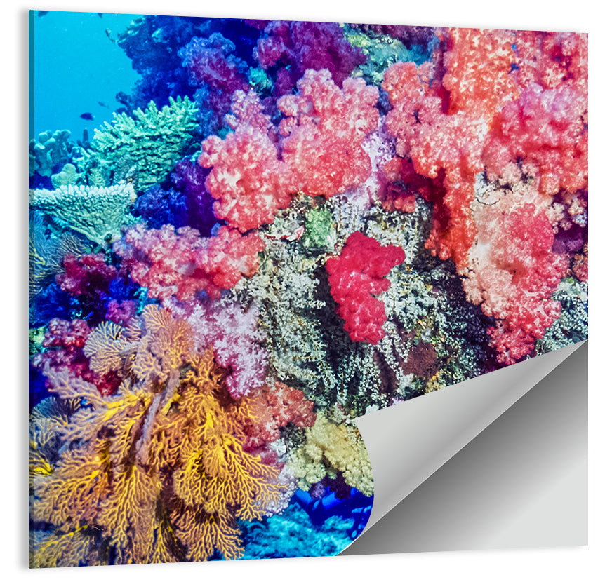 Vibrant Coral Reef Wall Art