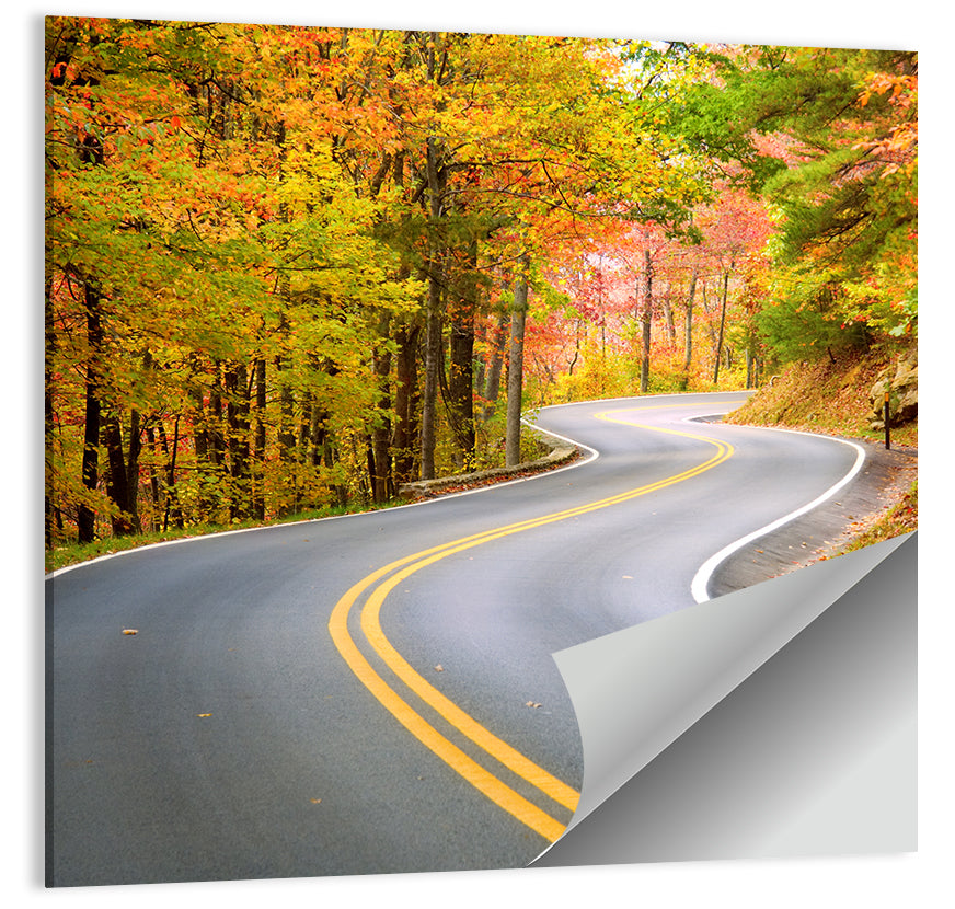 Winding Autumn Road Wall Art, poster print, square