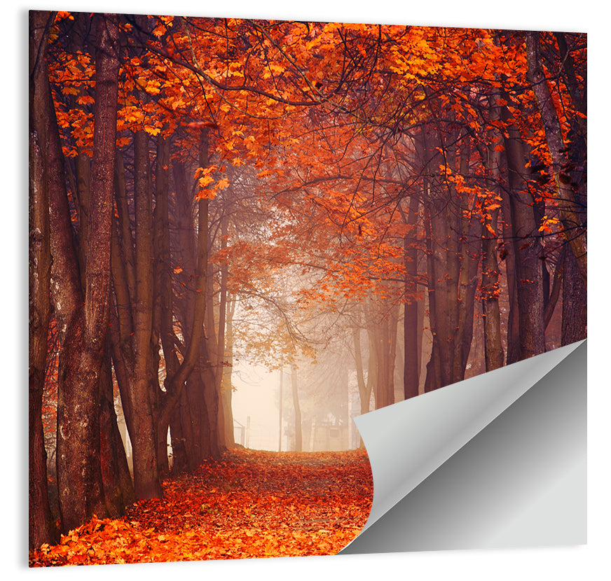 Misty Autumn Forest Path Wall Art