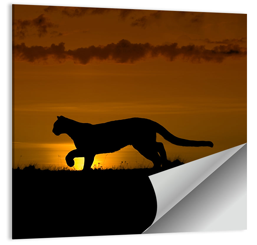 Cougar Silhouette at Sunset Wall Art