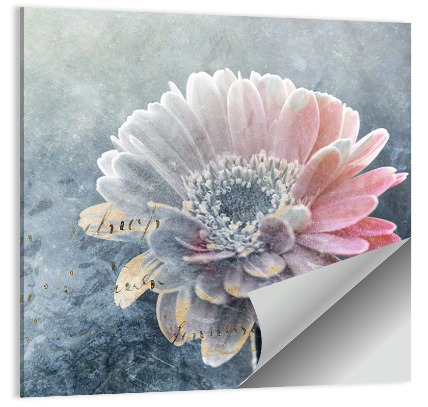 Winter Gerbera with Golden Script Wall Art
