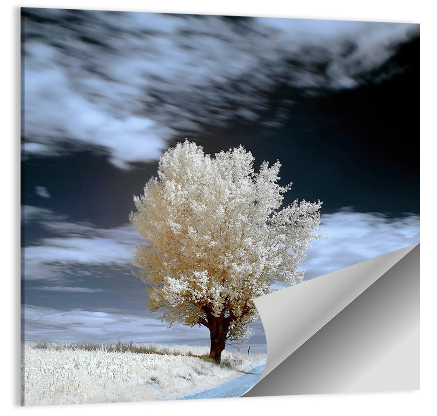 Infrared Winter Willow Tree Wall Art