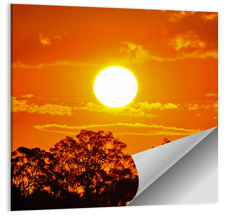 Burning Sun Over Tree Silhouettes Wall Art