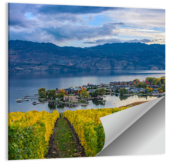 Okanagan Lake Vineyard, Kelowna Wall Art as a poster print