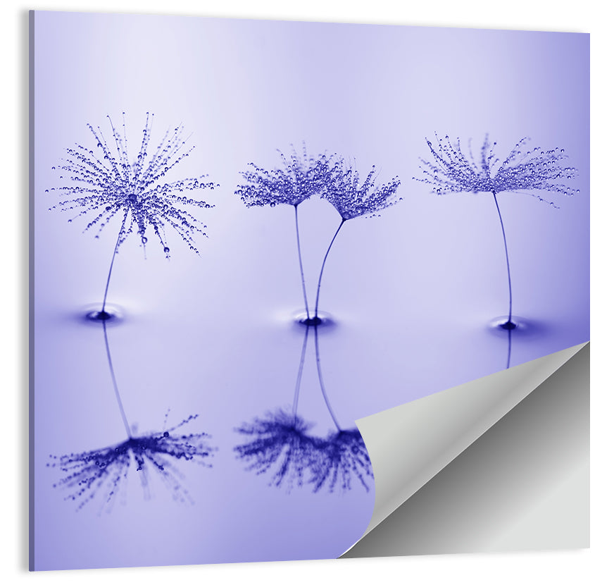 Blue Dandelion Seeds with Reflections Wall Art