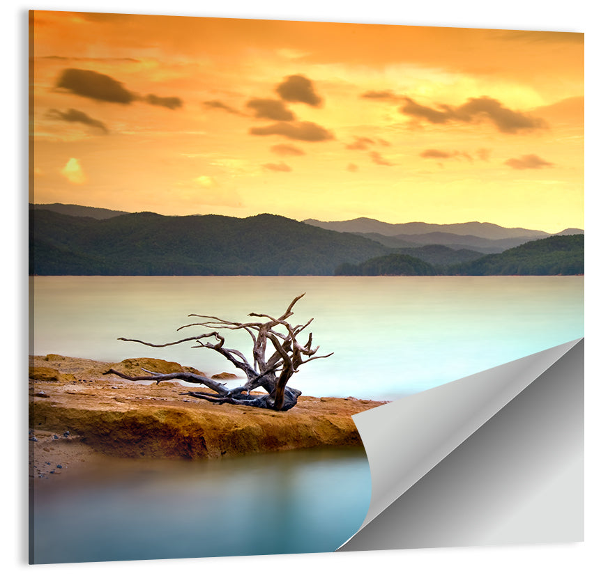 Gnarled Driftwood at Turquoise Lake Wall Art